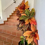 Апартаменты Sun Castle