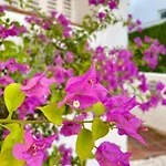 Апартаменты Sun Castle