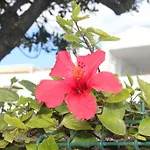 Апартаменты Sun Castle *