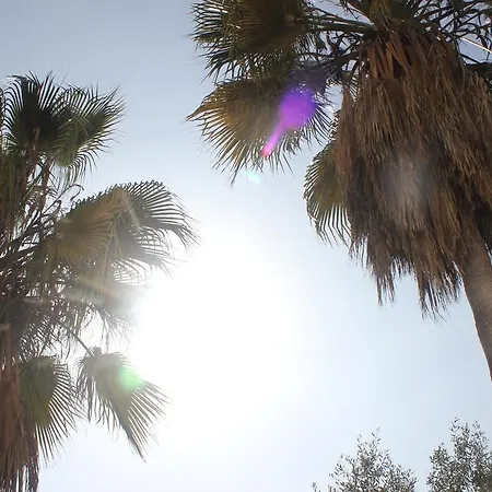 Apartment Sun Castle *