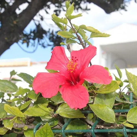 Apartment Sun Castle *