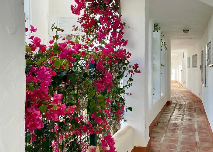 Sun Castle * フエンヒロラ