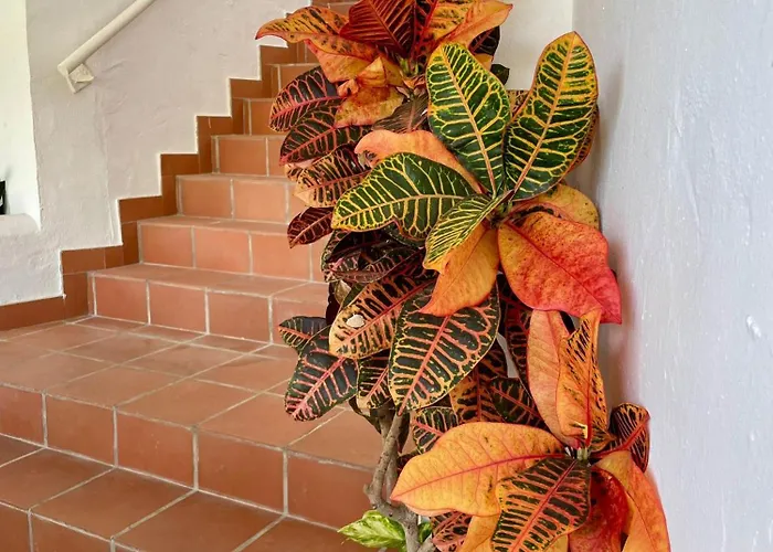 Appartamento Sun Castle