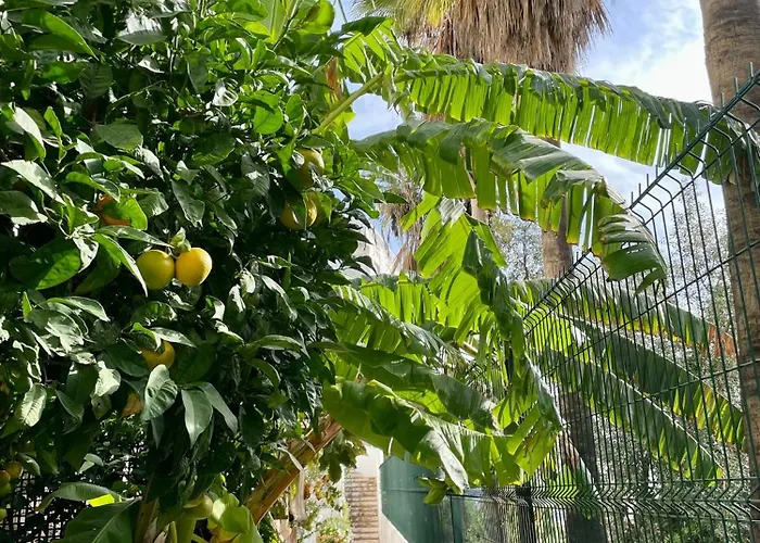 Sun Castle Appartamento Fuengirola