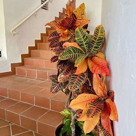 Apartamento Sun Castle