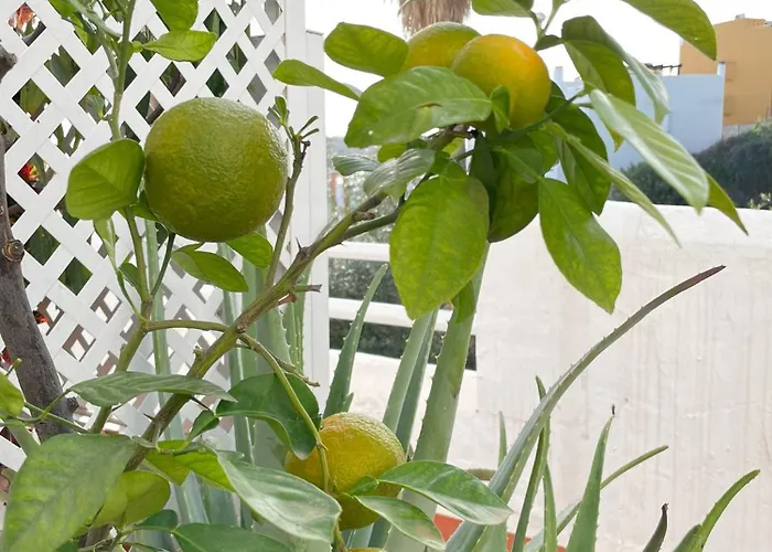 Sun Castle Fuengirola