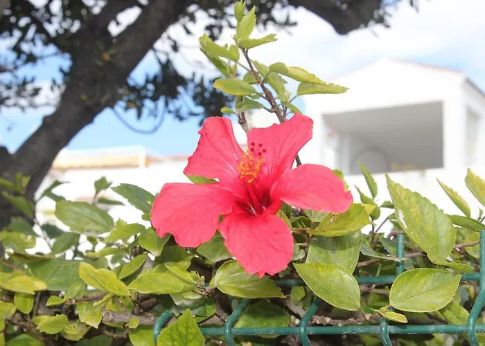 Apartment Sun Castle *