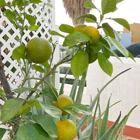 Sun Castle Fuengirola