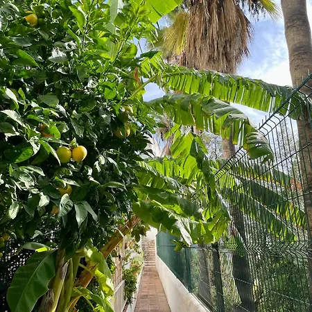 Sun Castle Apartment Fuengirola