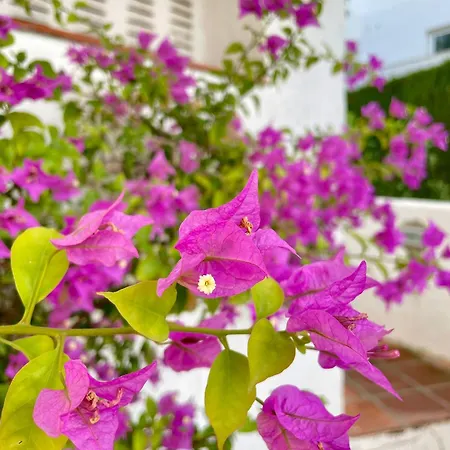 Apartment Sun Castle